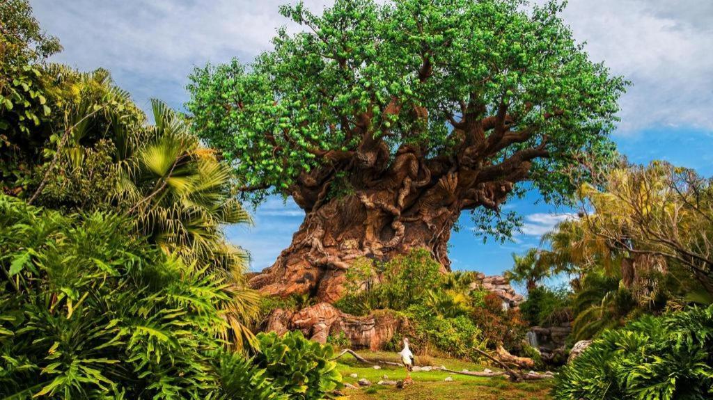 Disney'S Animal Kingdom Lodge Four Corners Kültér fotó