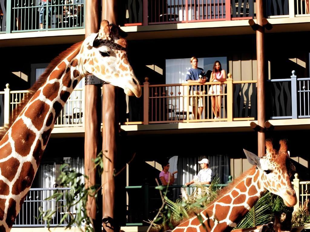 Disney'S Animal Kingdom Lodge Four Corners Kültér fotó