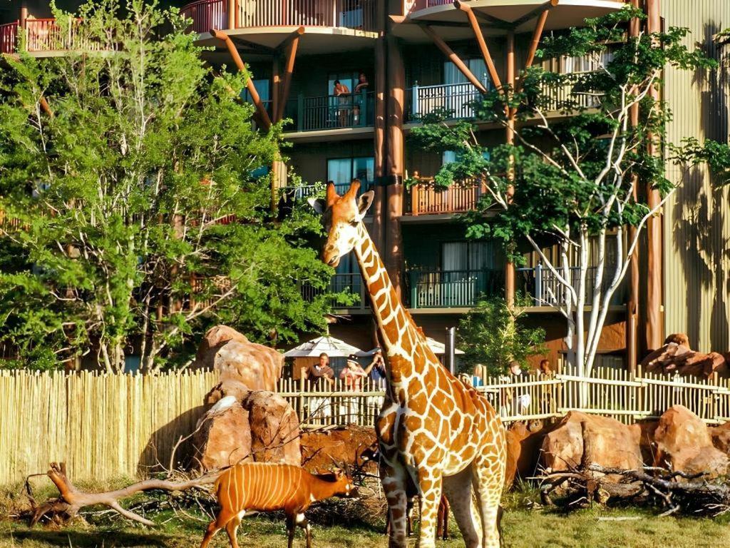 Disney'S Animal Kingdom Lodge Four Corners Kültér fotó