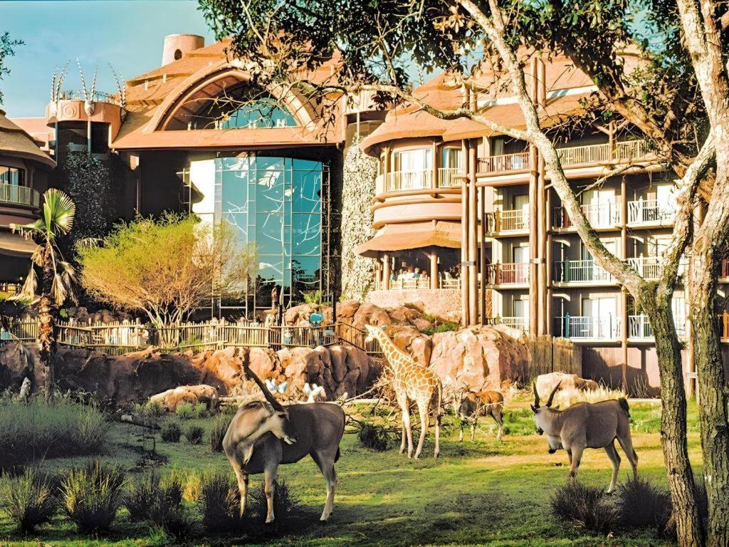 Disney'S Animal Kingdom Lodge Four Corners Kültér fotó